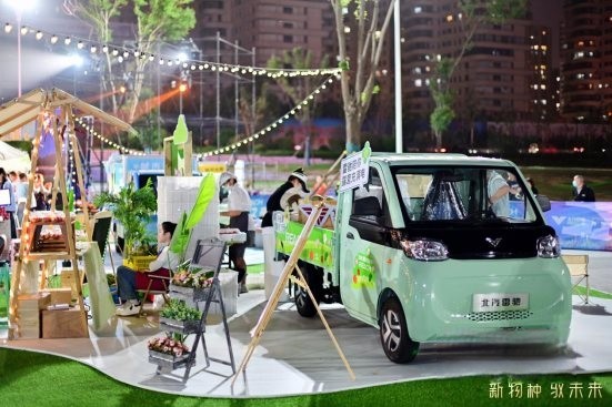 年轻人的新座驾,北汽雷驰新能源MINI卡,可自驾可摆摊