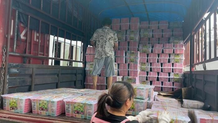 90后年轻用户工作休闲两不误 开德沃斯能跑绿通还能去钓鱼?